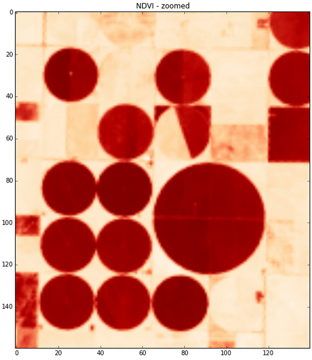 ndvi_image.png