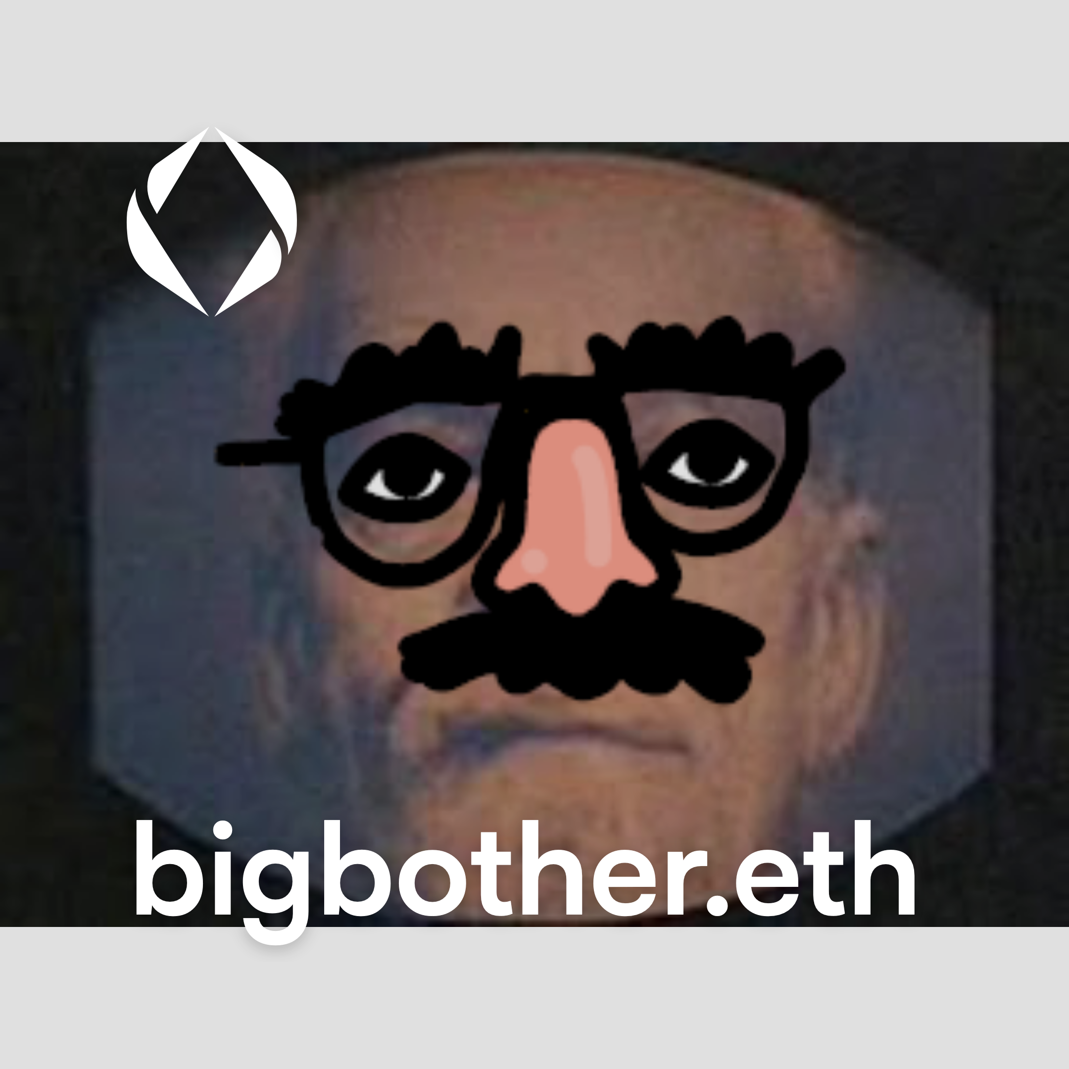 bigbother.png