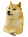 doge.png